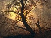 Caspar David Friedrich Trees in the moonlight oil on canvas